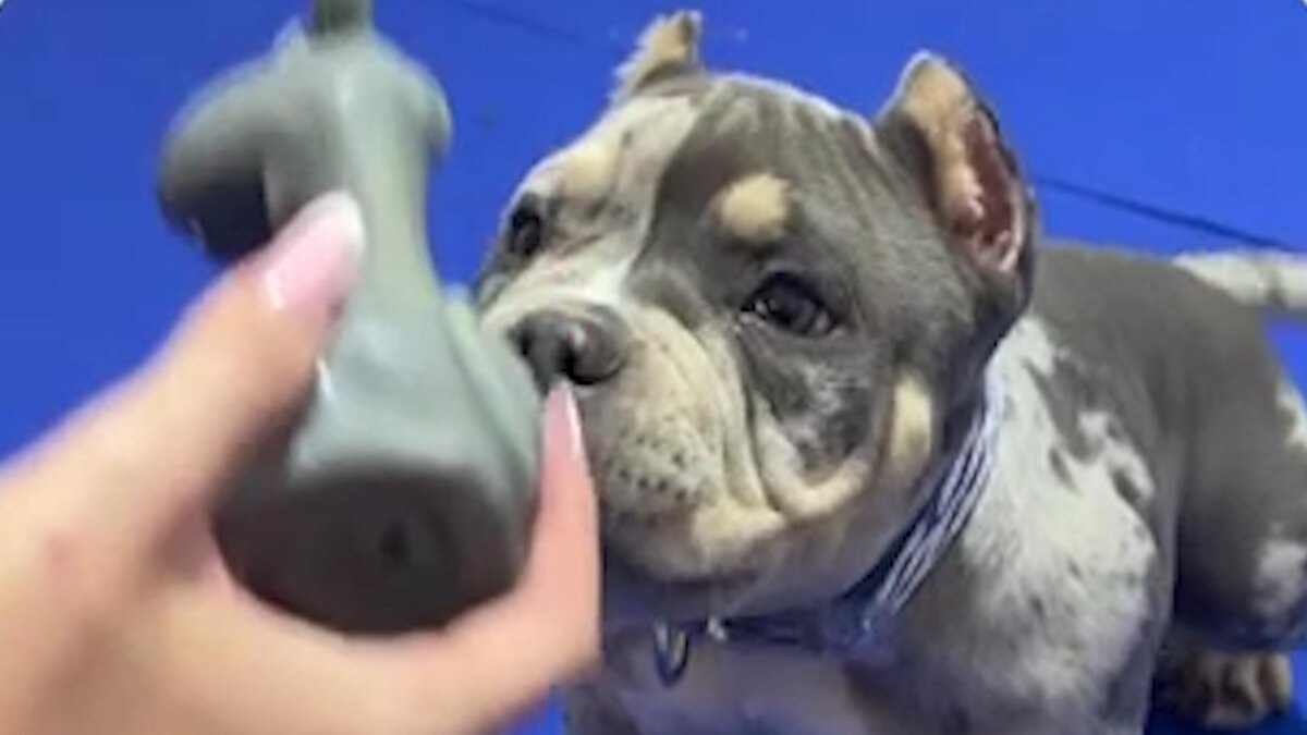    Фото: соцсети