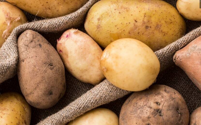    3 интересных рецепта из картошки, которые удивят даже гурмана