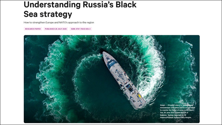    Запад обеспокоен, что Россия отрежет Украину от моря//Скриншот страницы сайта Chatham House*