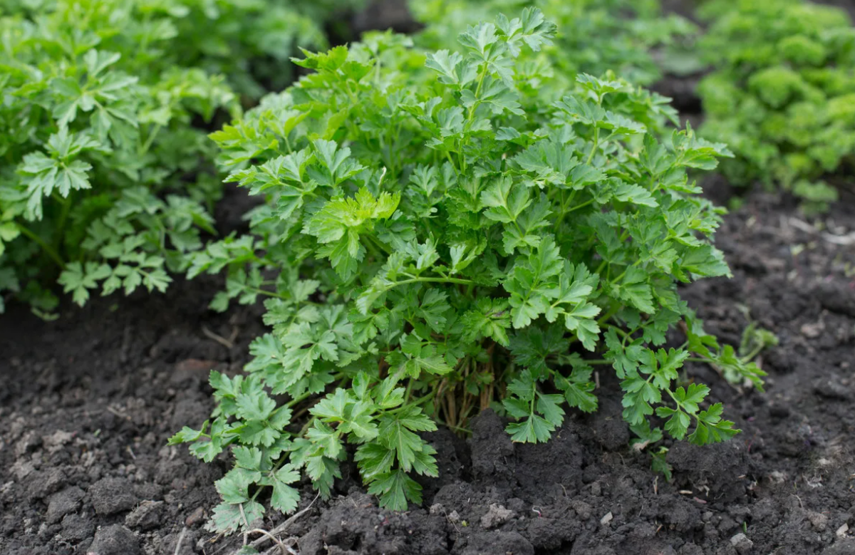 Нажимайте пальчик вверх под статьёй👍👍👍👍👍