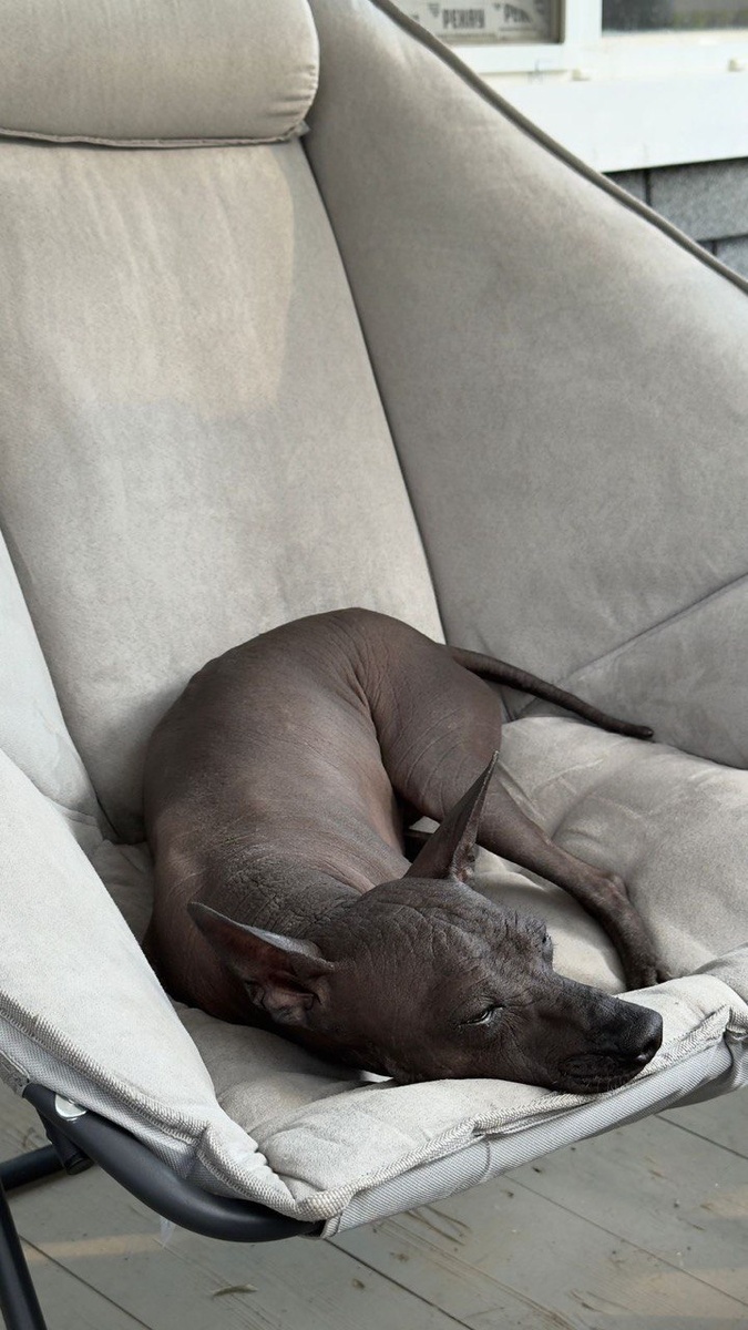 Работник устал трудиться