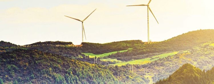    Фото: Gustavo Romero Monterroza