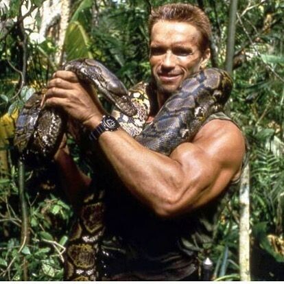 Не знаю откуда фото, возможно со съёмок ленты "Командо"