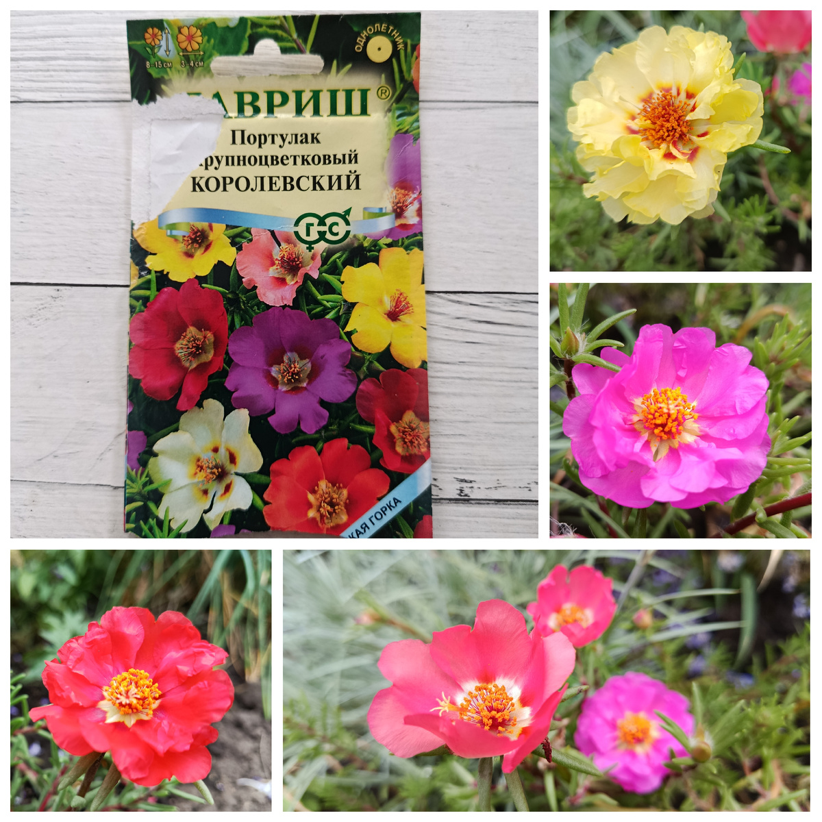 Коллаж автора