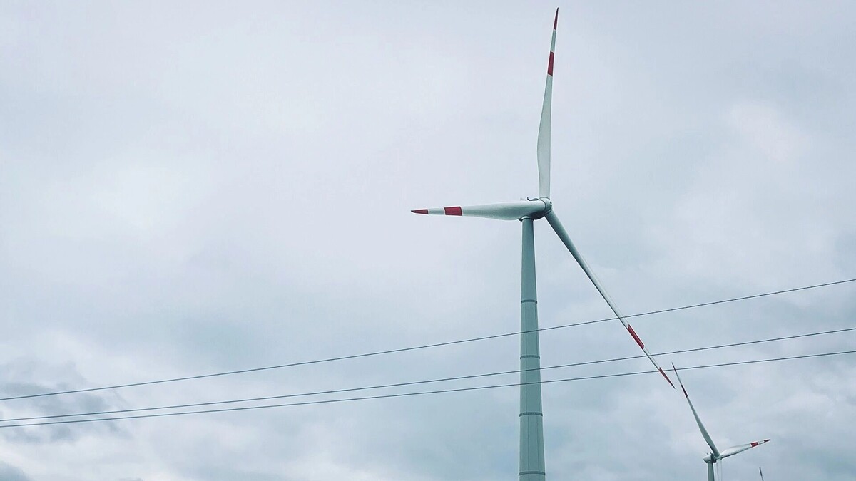     Источник: 1MI