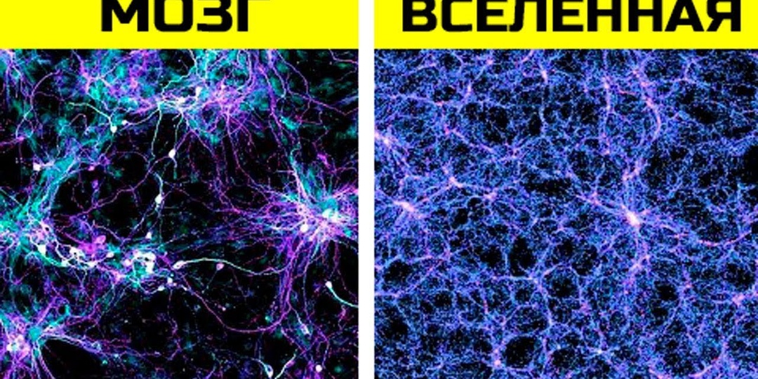 ЭТИ ВЕЩИ НЕ МОГУТ ОБЪЯСНИТЬ ДАЖЕ УЧЁНЫЕ!