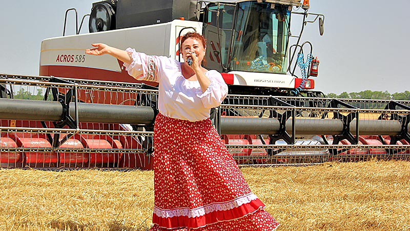    Эх, ромашка-василёк