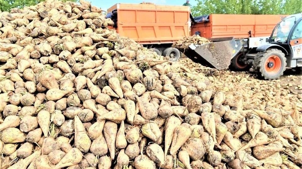     Источник: пресс-служба администрации Краснодарского края