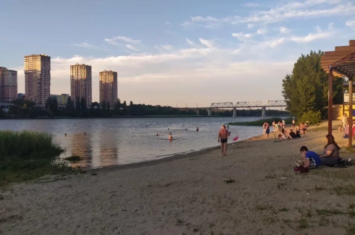    Проект моста на Зелёный остров в Ростове не прошел госэкспертизу