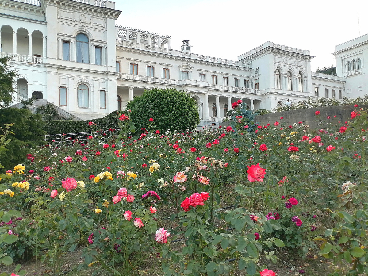 Уголок Ливадийского парка