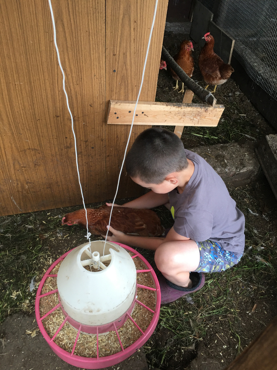 С любимой курочкой 