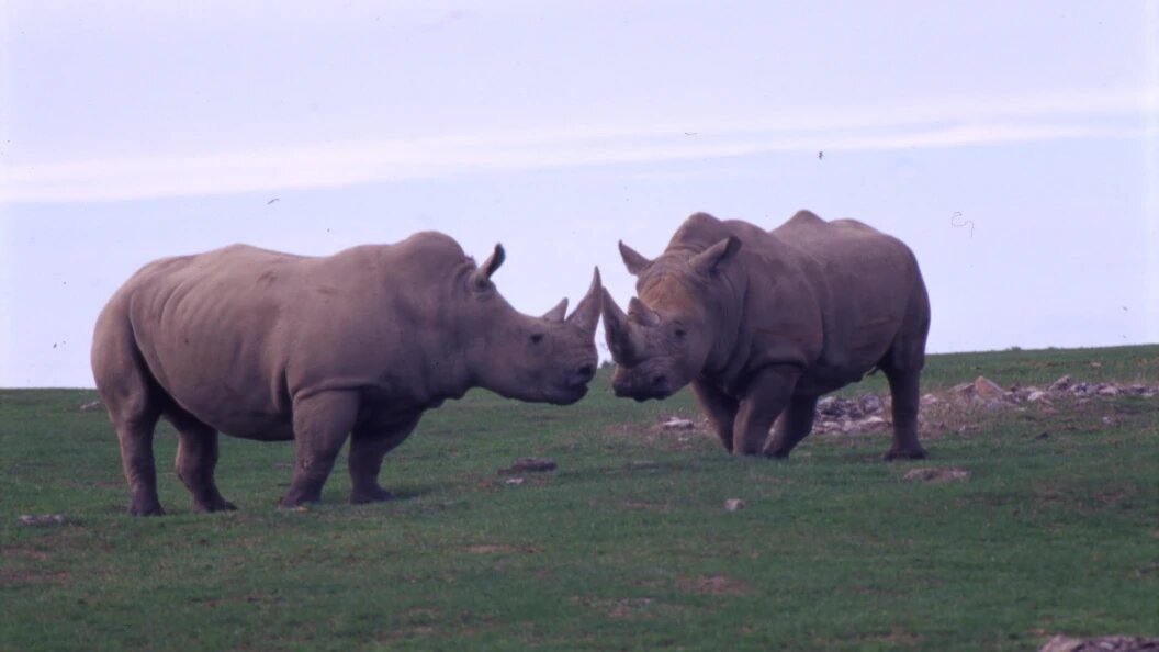    Serguei Fomine/Russian Look/Globallookpress