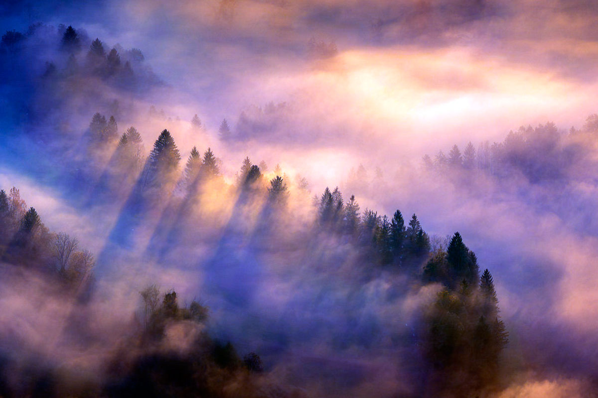 Жизнь нельзя описать одной метафорой — это как пытаться понять океан, глядя на каплю воды