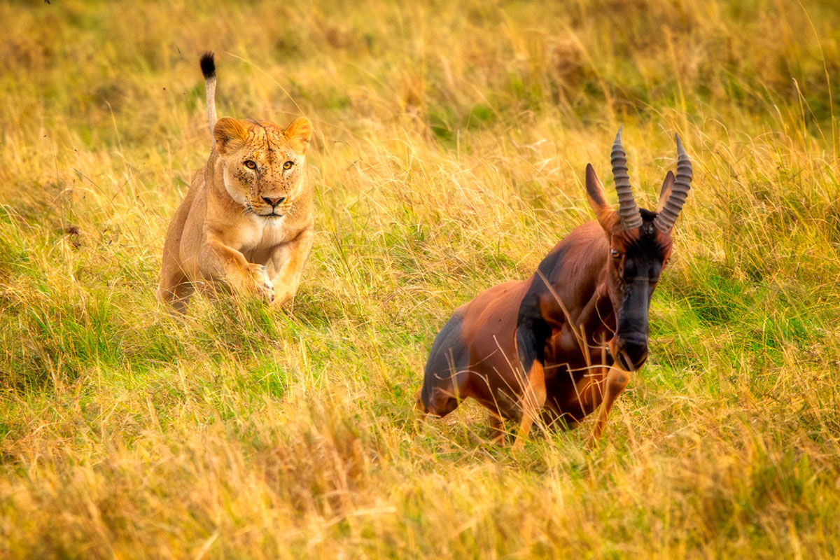 Мы видим мир не таким, какой он есть, а через призму нашего восприятия