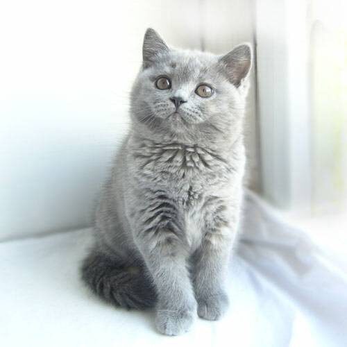 Будущая королева только знакомится с миром.