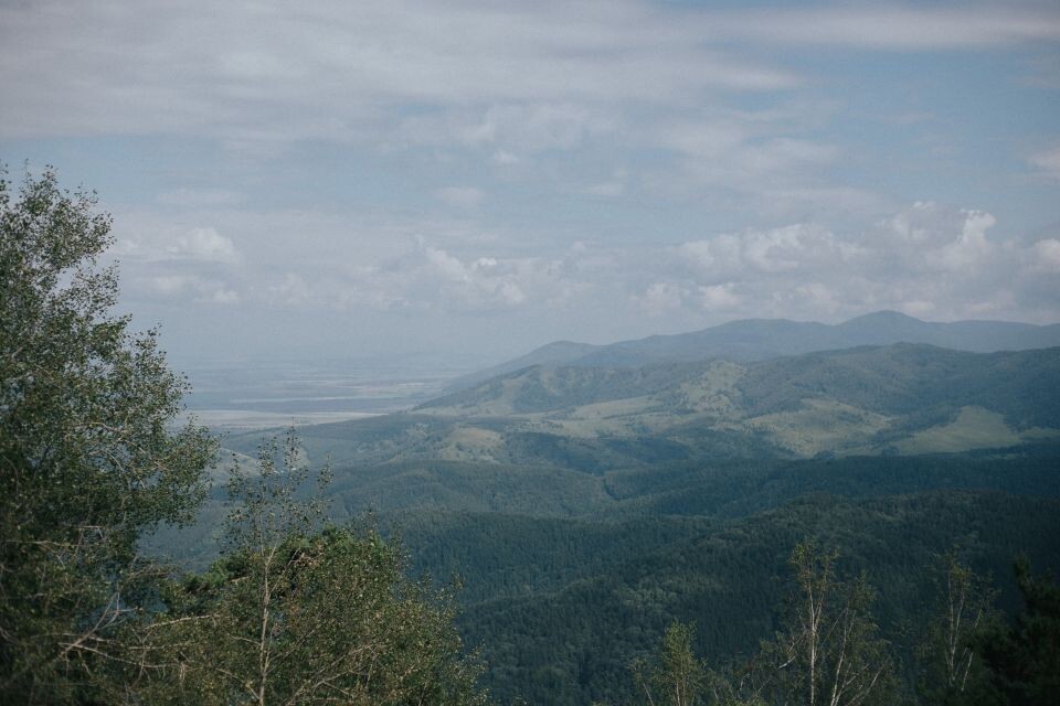    Горы, Алтай, природа. Источник: Анна Меньшикова