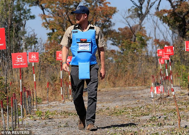 Источник фото: dailymail.co.uk