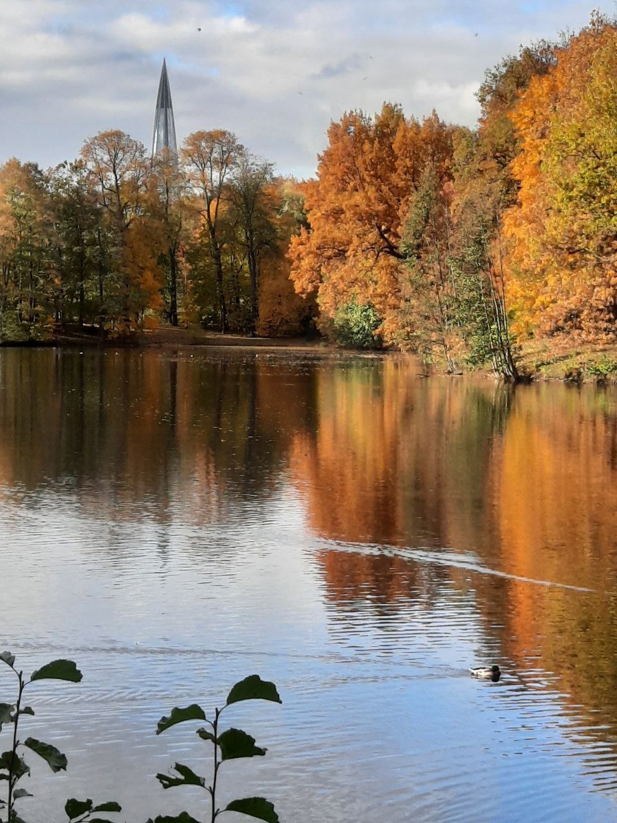 Осень в России. Фото из личного архива 
