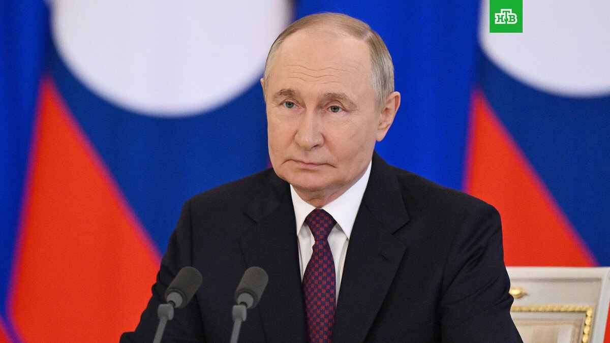    Фото: РИА Новости © 2025, Кристина Кормилицына