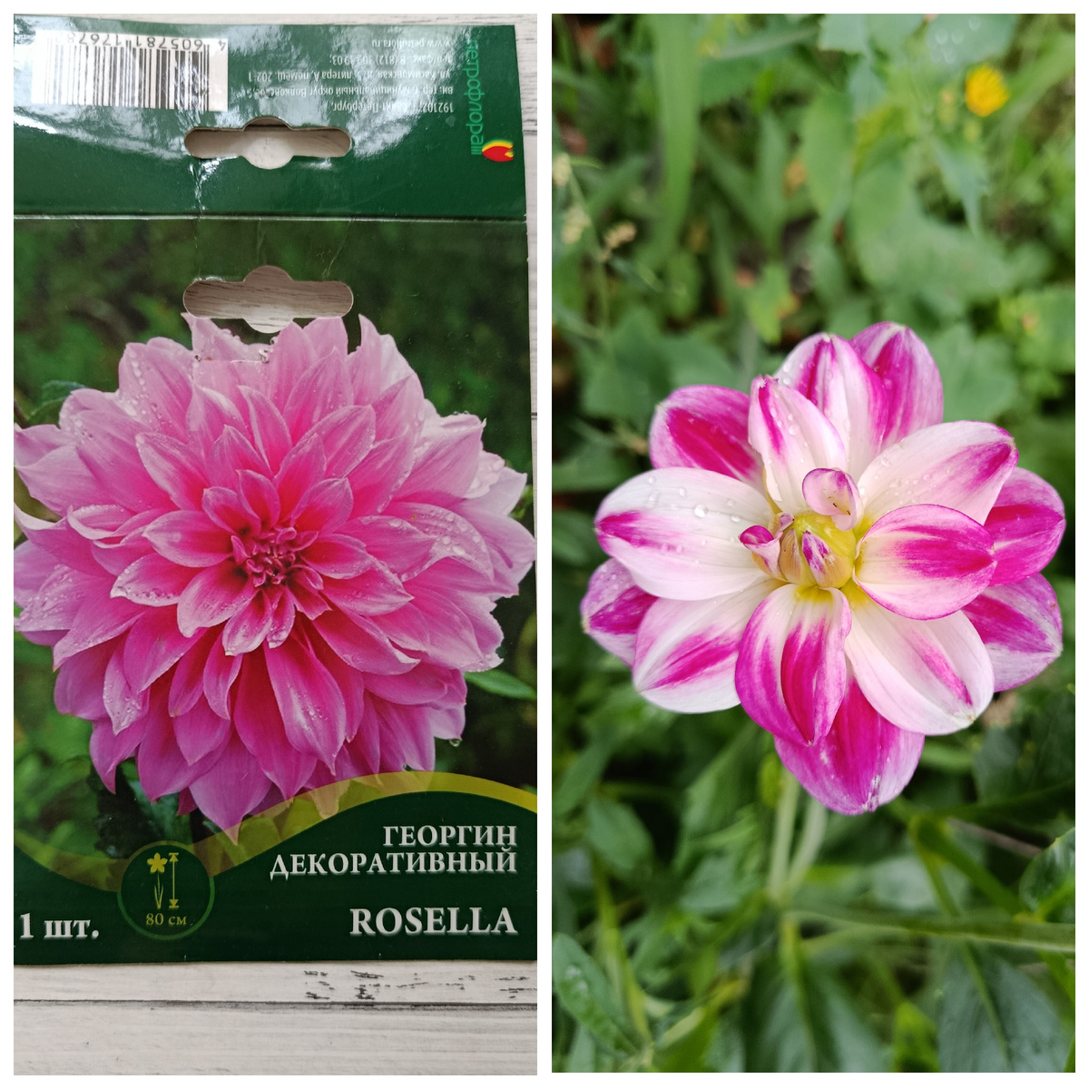 Коллаж автора