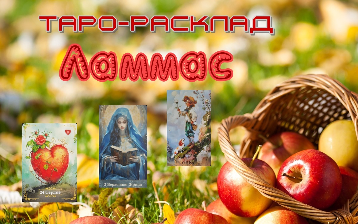 коллаж ЕлВита