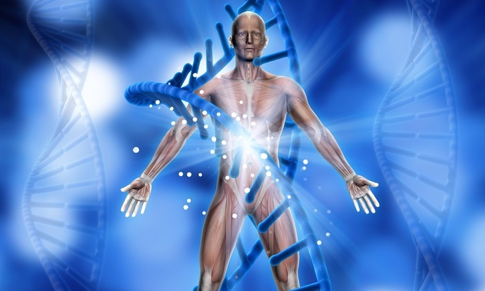    В Кембридже создают искусственную ДНК