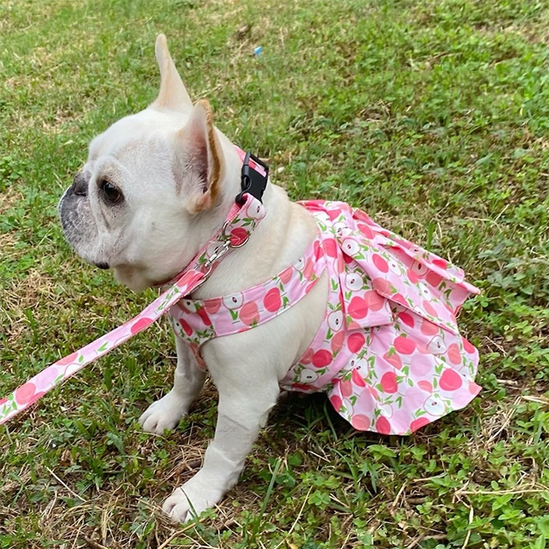 Мадемуазель Флёр желает вам прекрасного дня. 🌷