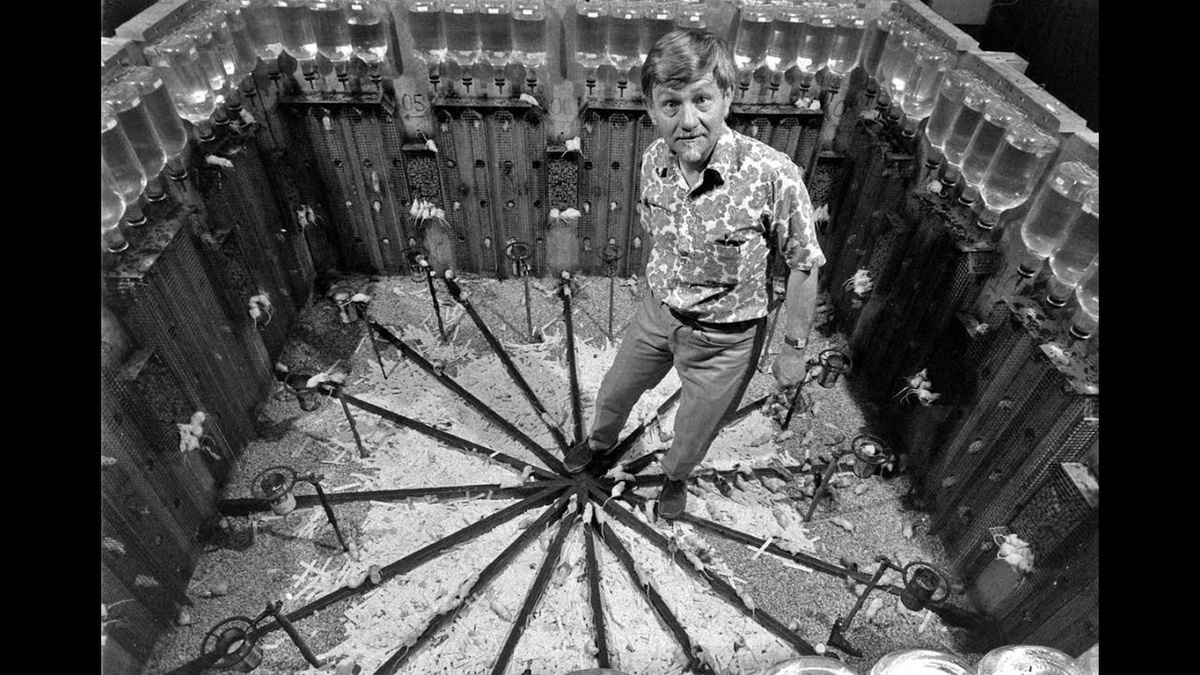 напоминает Мурино, ну да ладно