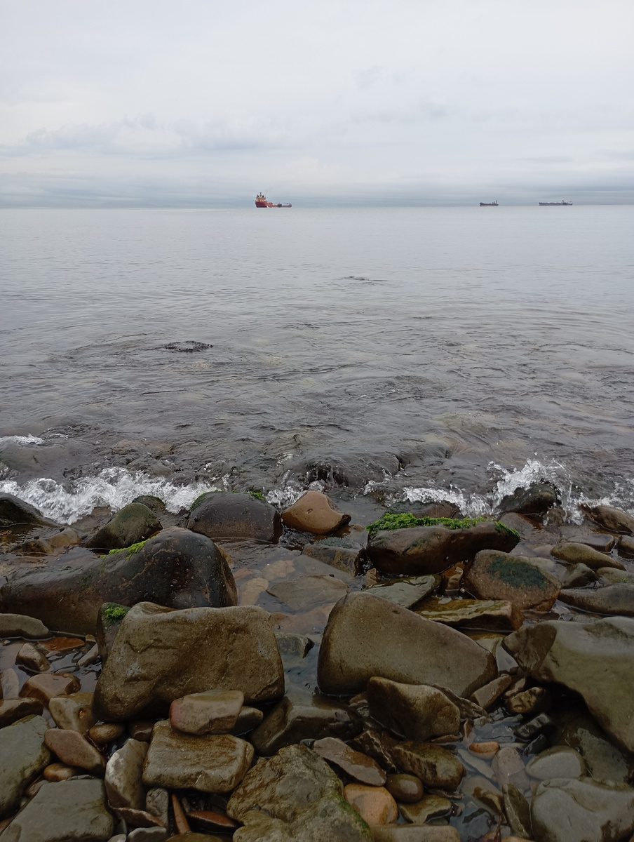 На рейде - современные корабли. Владивосток, Патрокл. Фото автора.