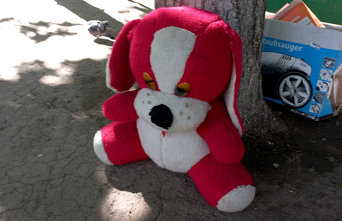 Брошенные хозяевами плюшевые игрушки во дворах Донецка. 2025 год