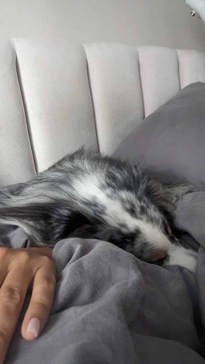 Мой лекарь 🥰