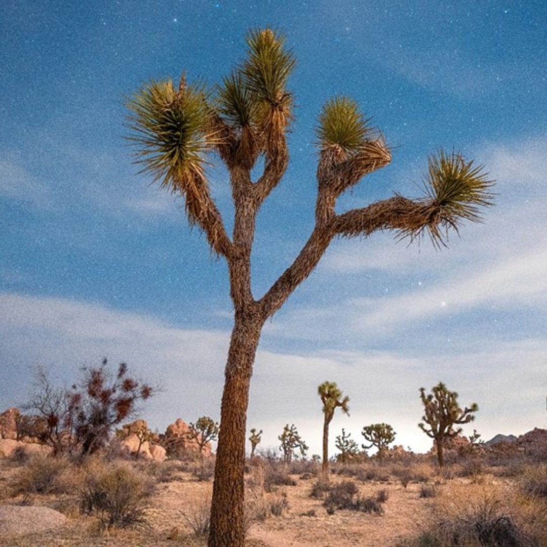 Источник: https://unsplash.com/ 