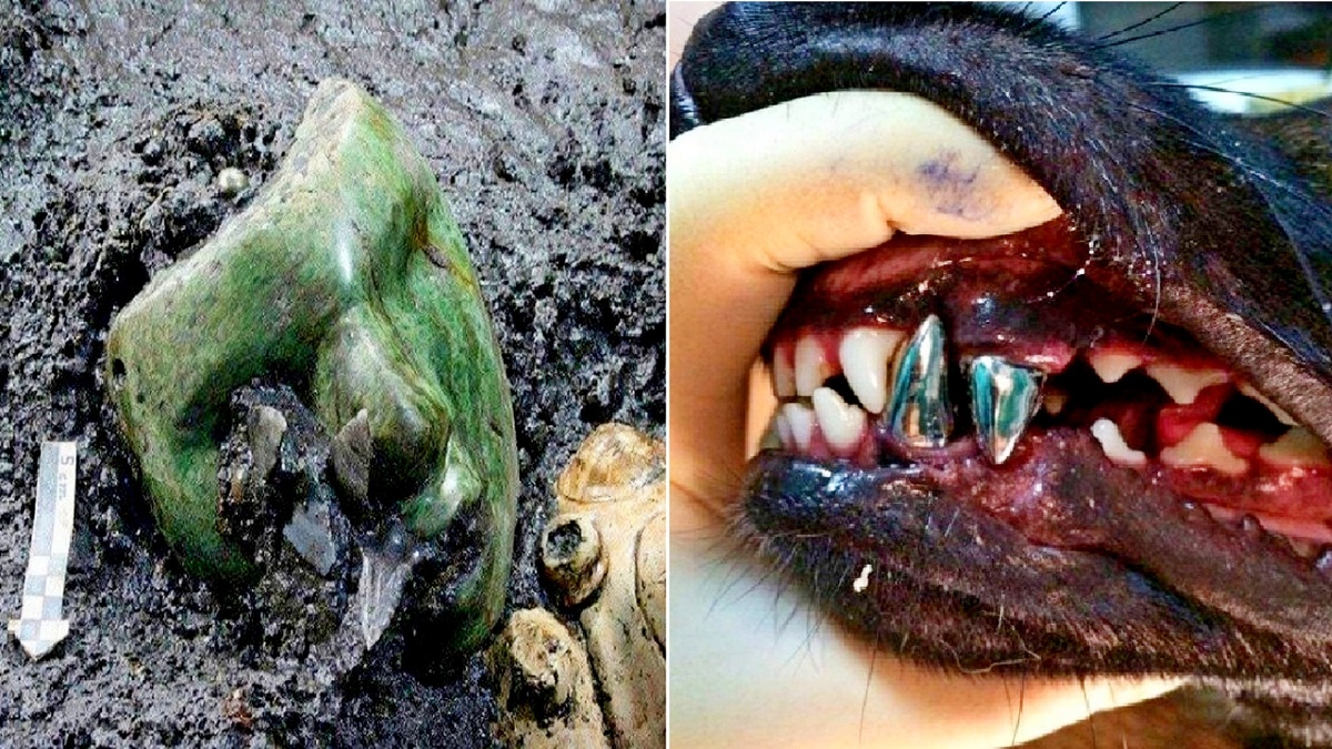 18 поразительных фото, которые изменят ваше представление об окружающем мире.