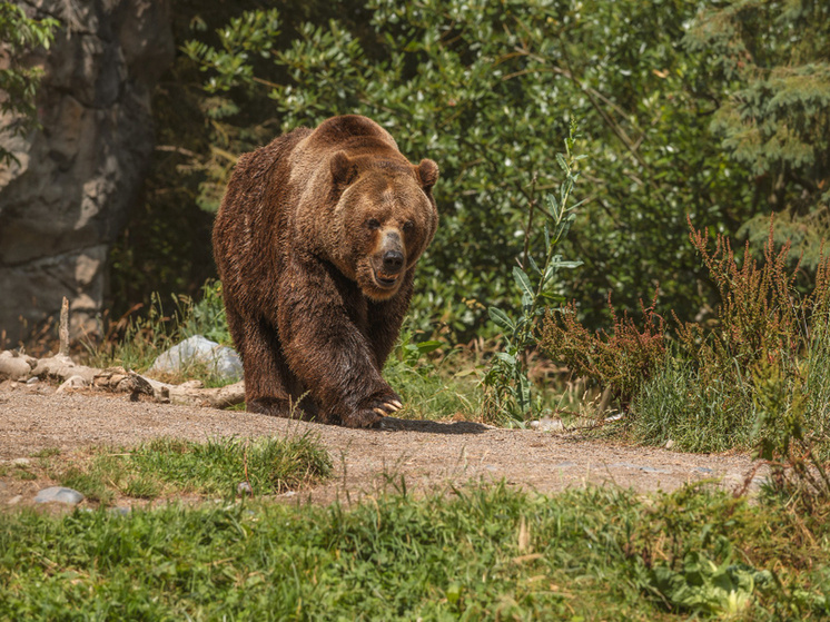     Фото: wirestock на ru.freepik.com