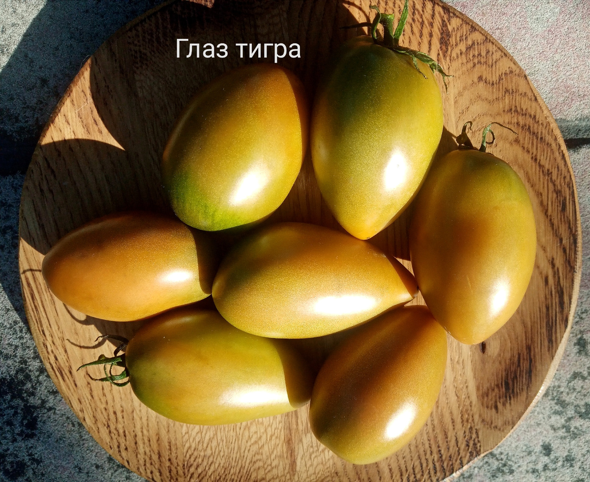 Фото автора от 27.07.2025г. Групповой портрет плодов гнома Глаз тигра.