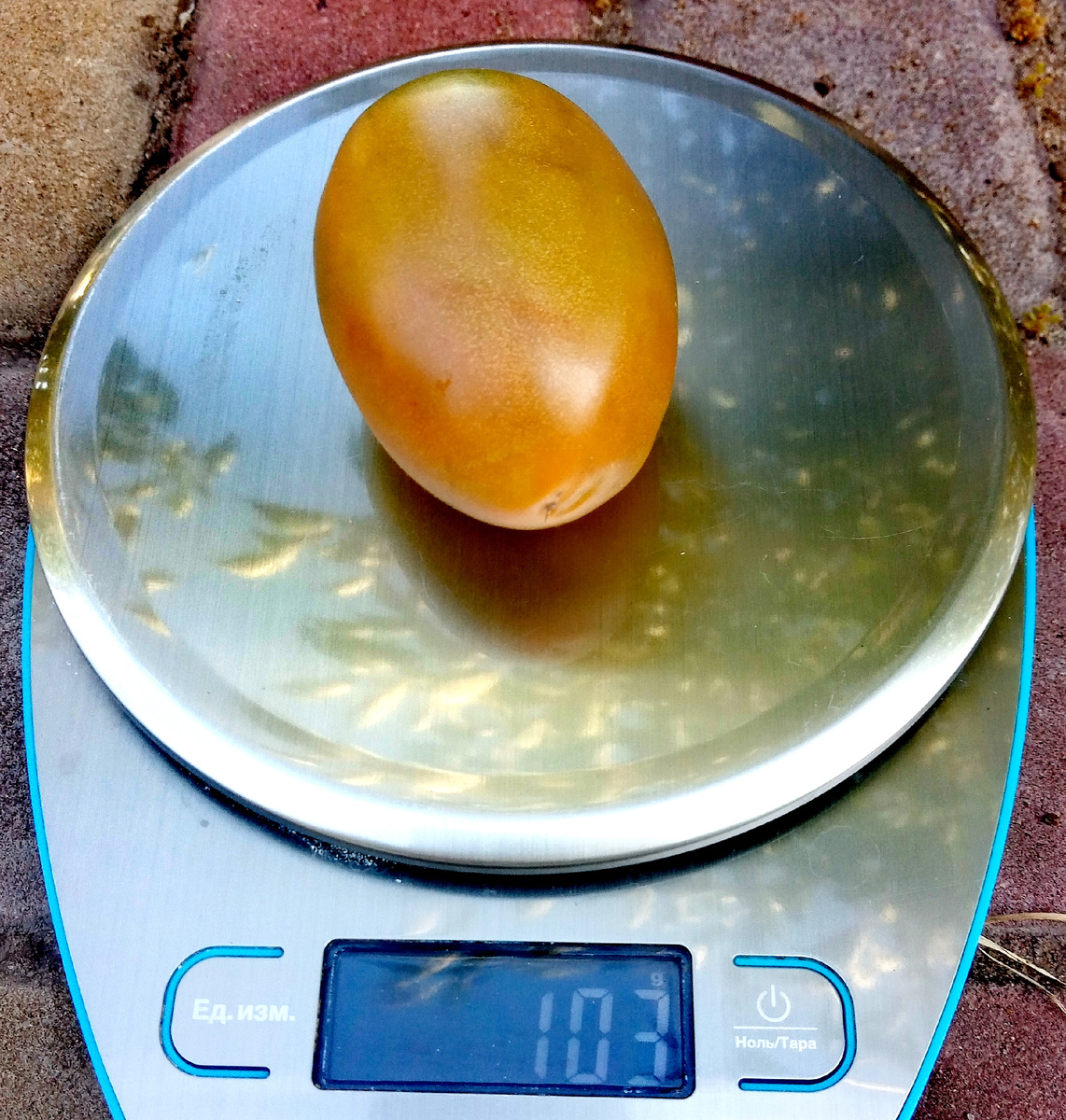 Фото автора от 27.07.2025г. Вес плода 103 грамма.
