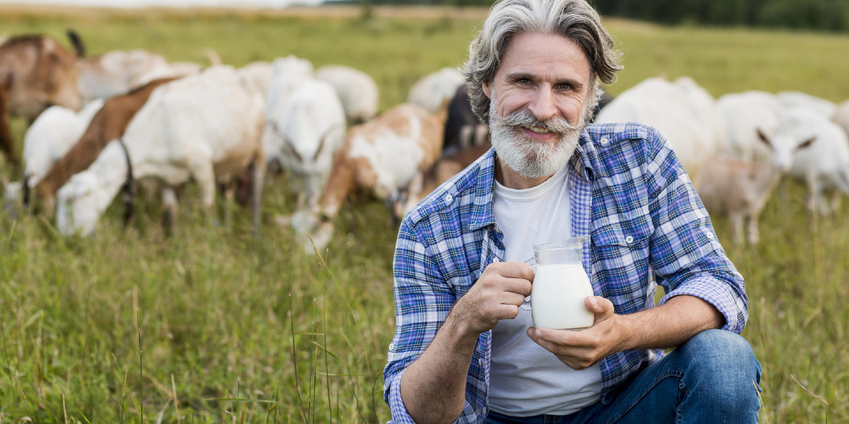 Источник фото: https://ru.freepik.com/