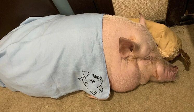  Ваш "мини" может легко превратиться в "миди", и к этому нужно быть готовым.