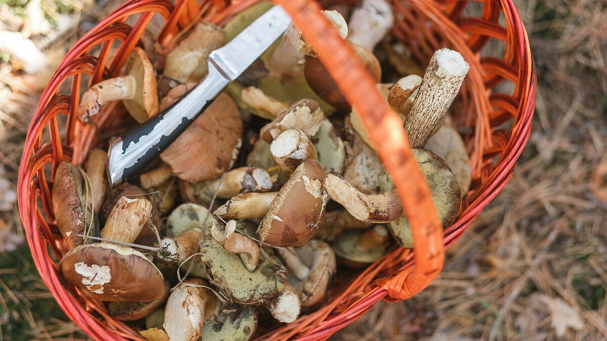 Фото: freepik.com