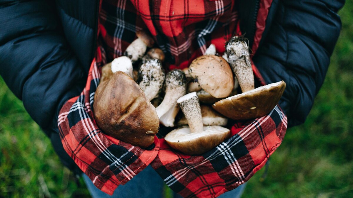 Фото: freepik.com/bublikhaus