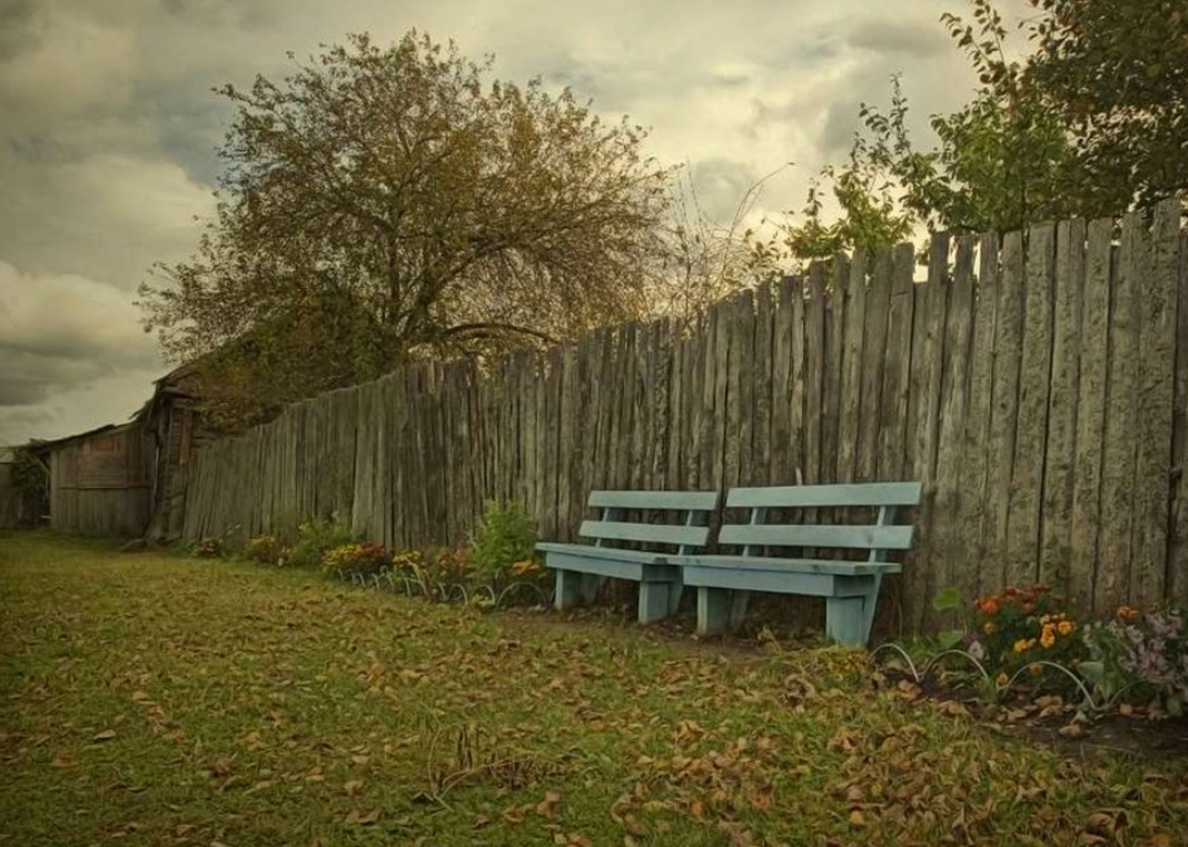 Яндекс картинки