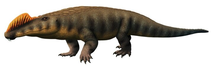 Никрозавр, иллюстрация.