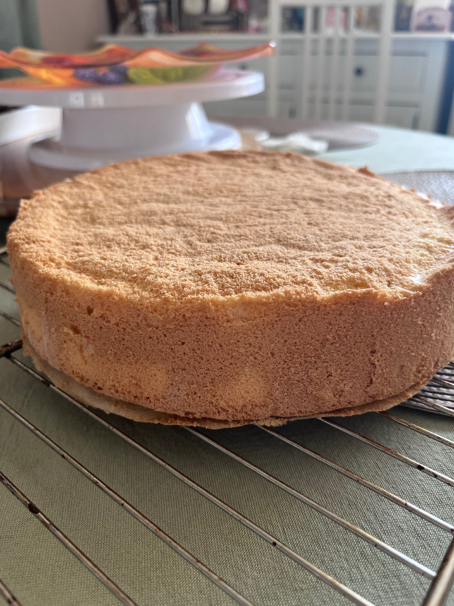 Высокий бисквит