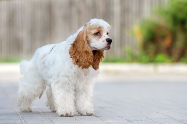 Ромашка желает всем солнечного дня!