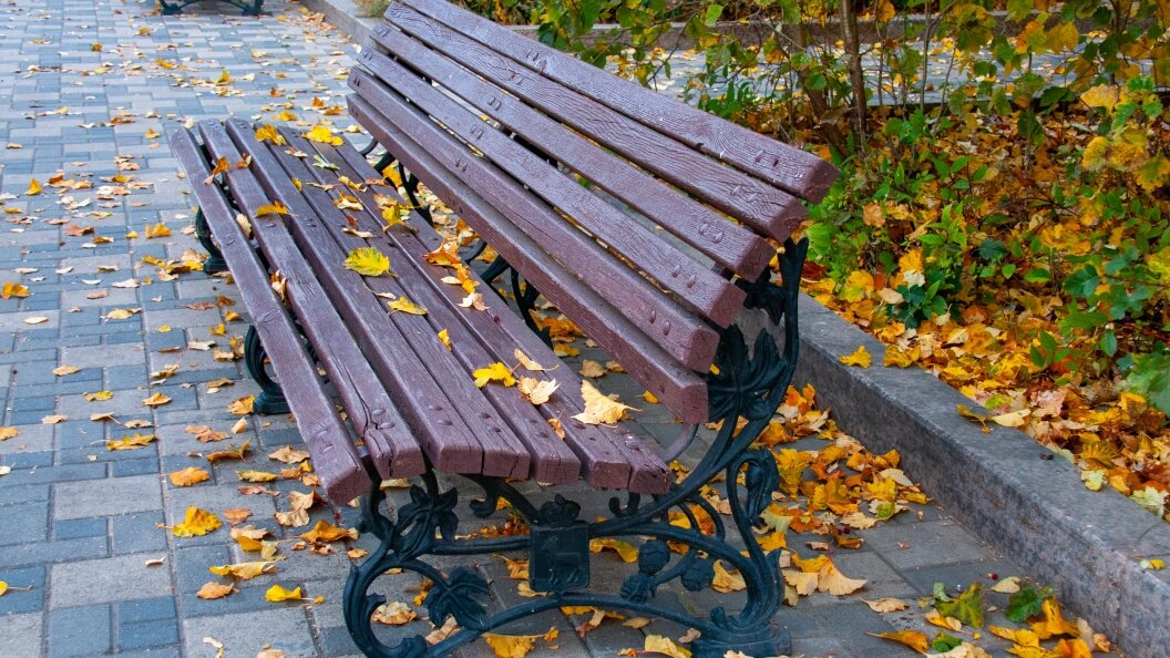    Фото: Svetlana Vozmilova /Globallookpress