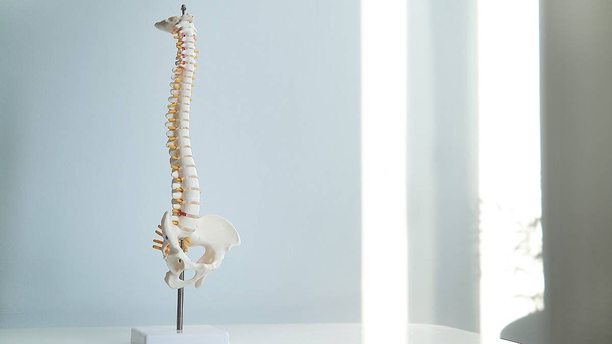    Фото: Shutterstock