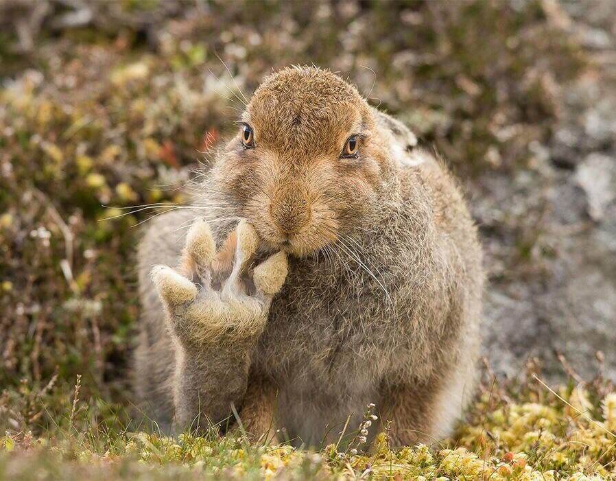 РОССИЯ ВПЕЧАТЛЯЕТ