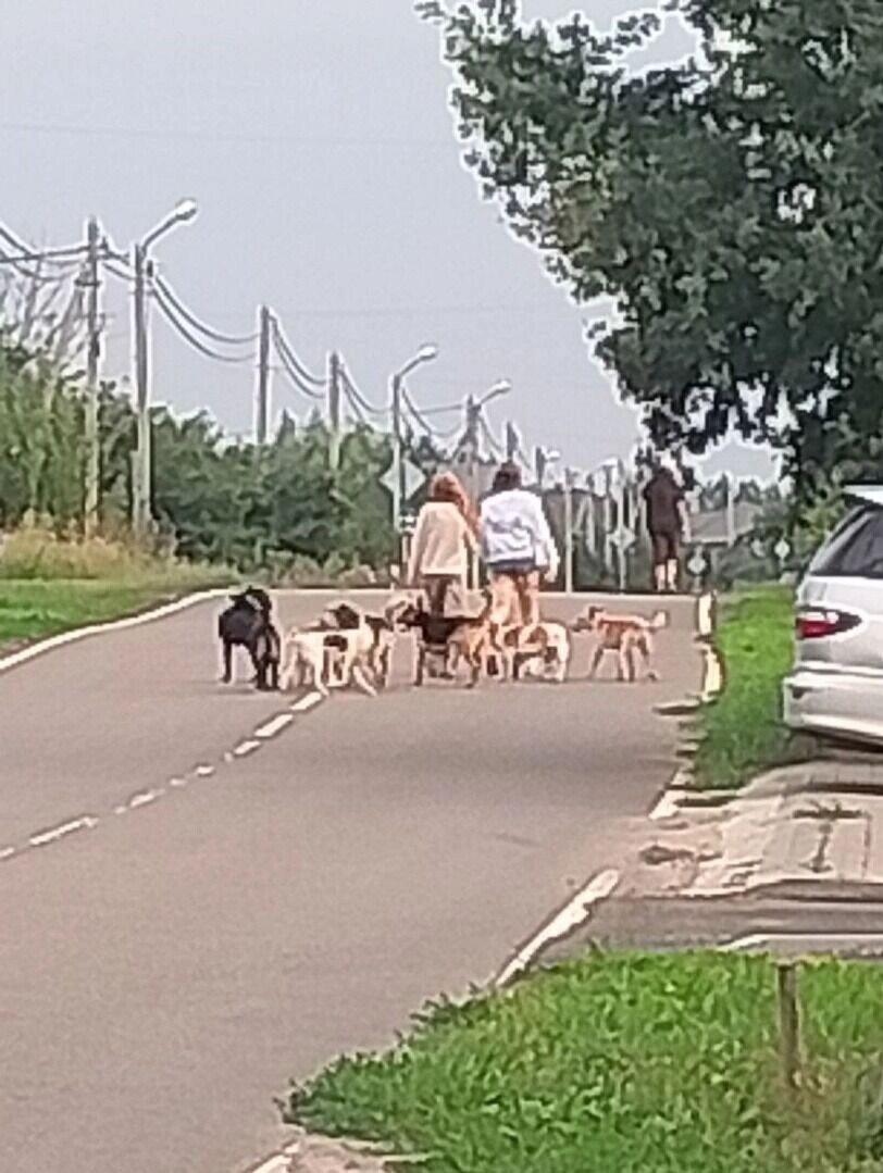     Источник: страница Вячеслава Гладкова