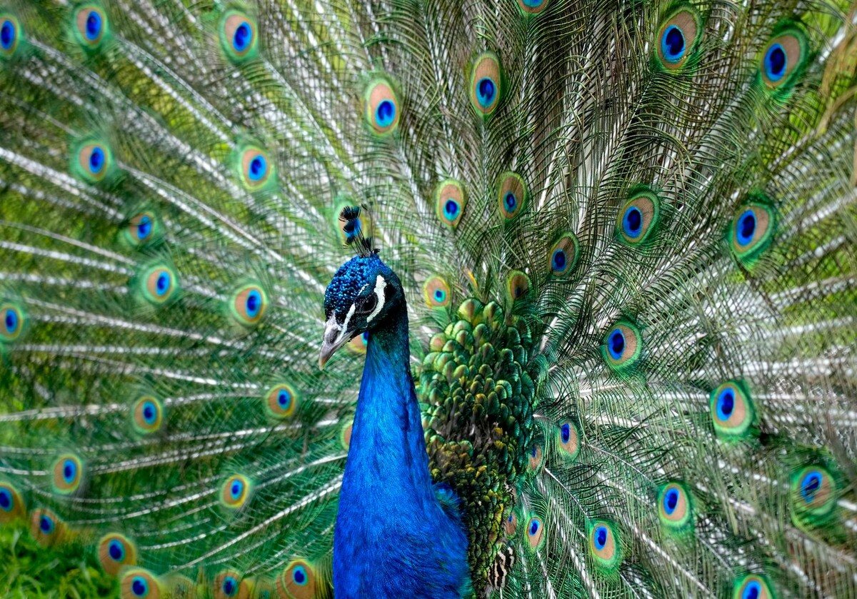     / Источник: © ИЗВЕСТИЯ/Дмитрий Коротаев