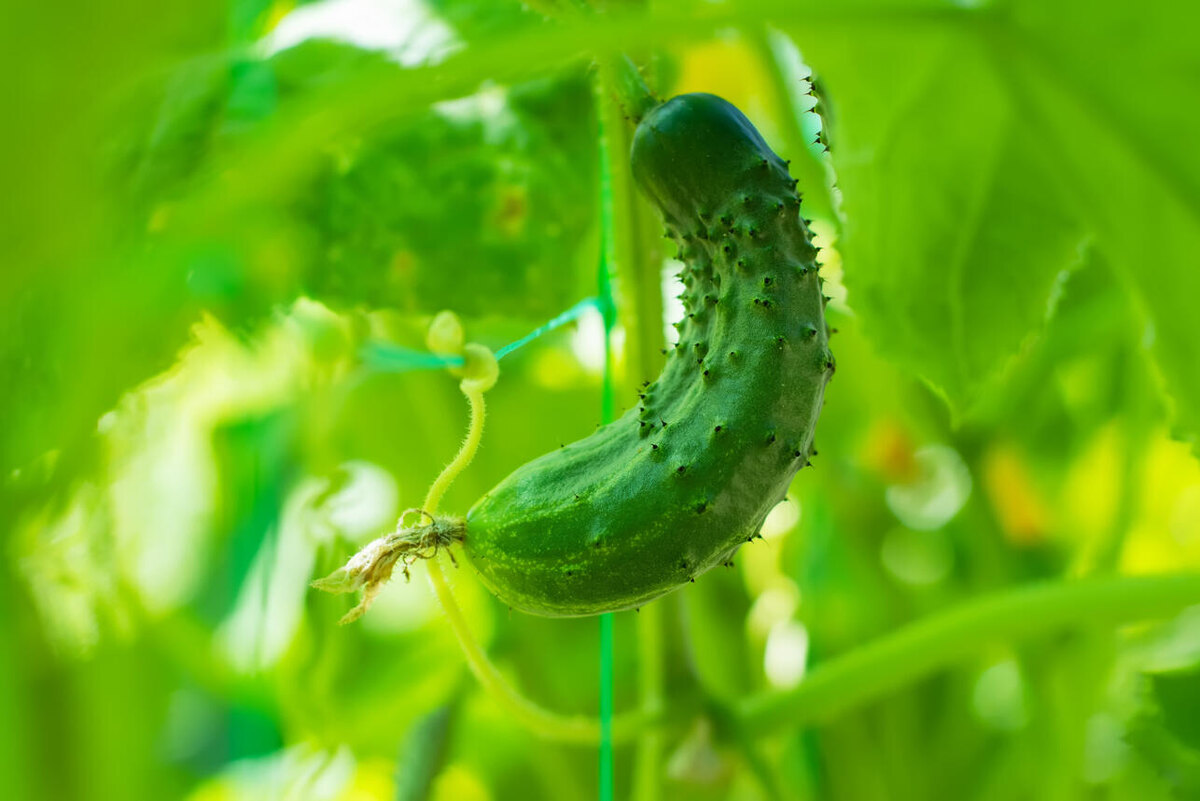     123RF/legion-media.ru